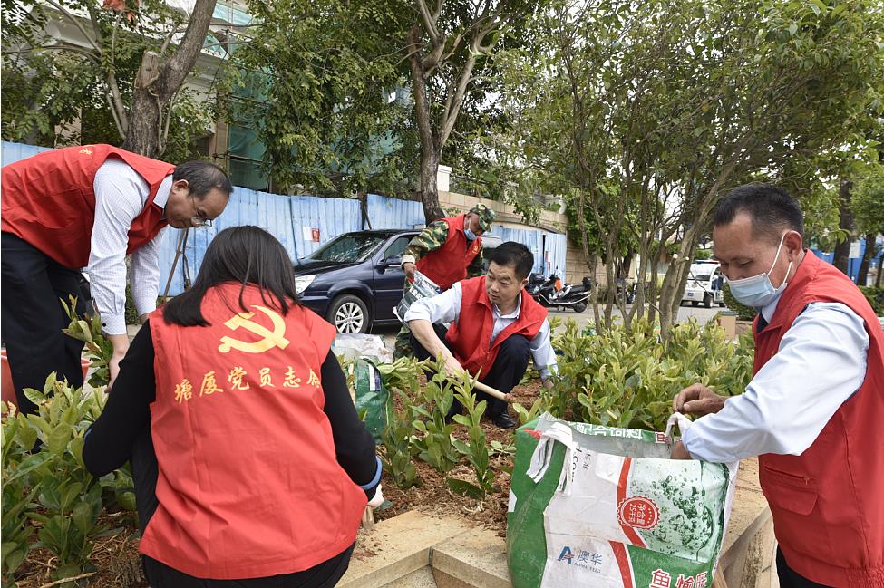 植樹節3.jpg 植樹節3.jpg